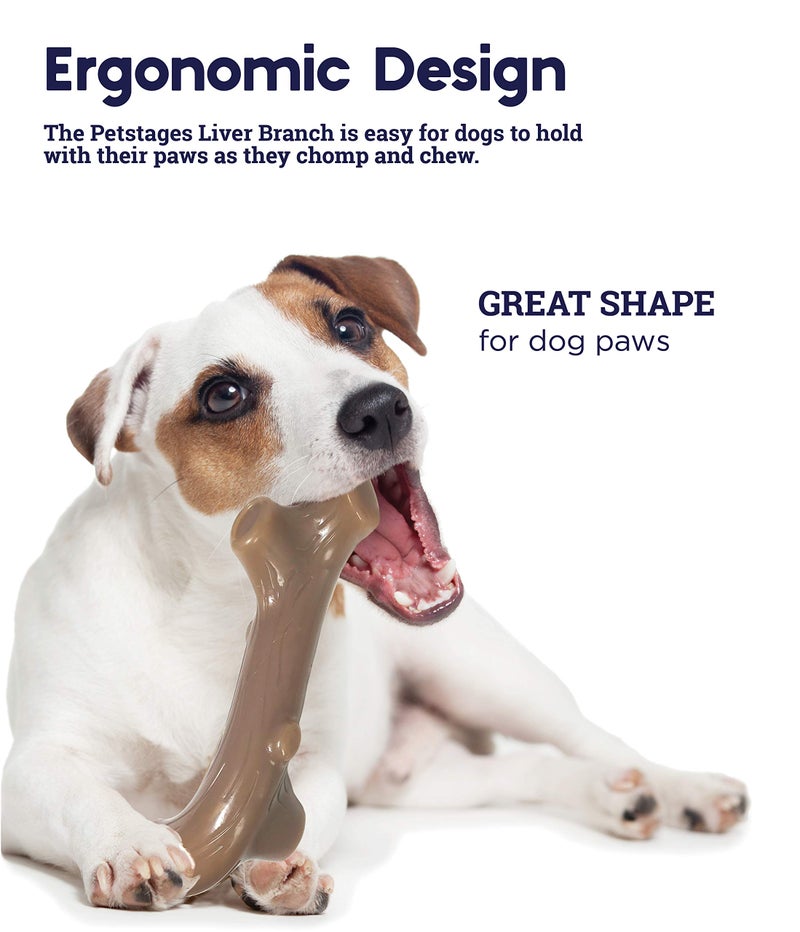 Petstages Liver Branch Stick Dog Chew Toy â€“ Beef Liver Flavor, Stick Alternative, Durable Nylon Design, Large - Image 4